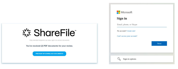 Phishing Login Boxes